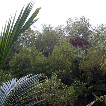טנגלה Mermaid Cabana And Tree Houses מראה חיצוני תמונה