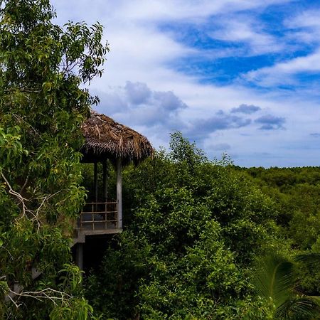 טנגלה Mermaid Cabana And Tree Houses מראה חיצוני תמונה
