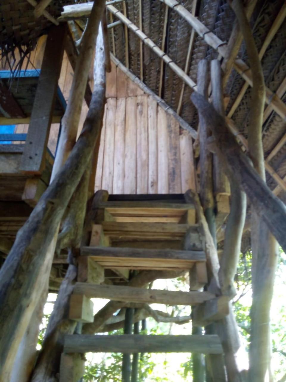טנגלה Mermaid Cabana And Tree Houses חדר תמונה