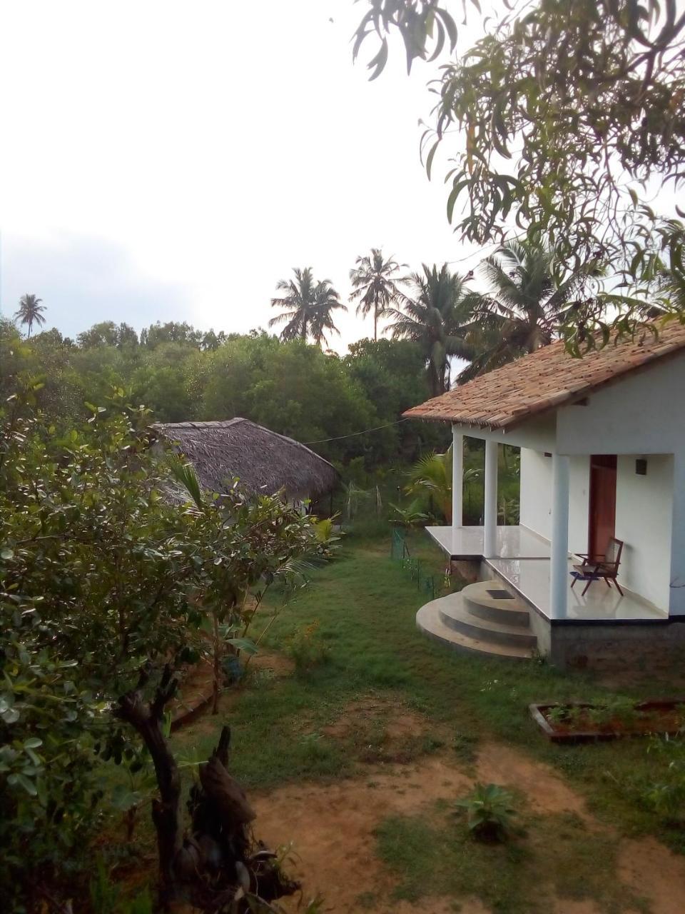 טנגלה Mermaid Cabana And Tree Houses מראה חיצוני תמונה