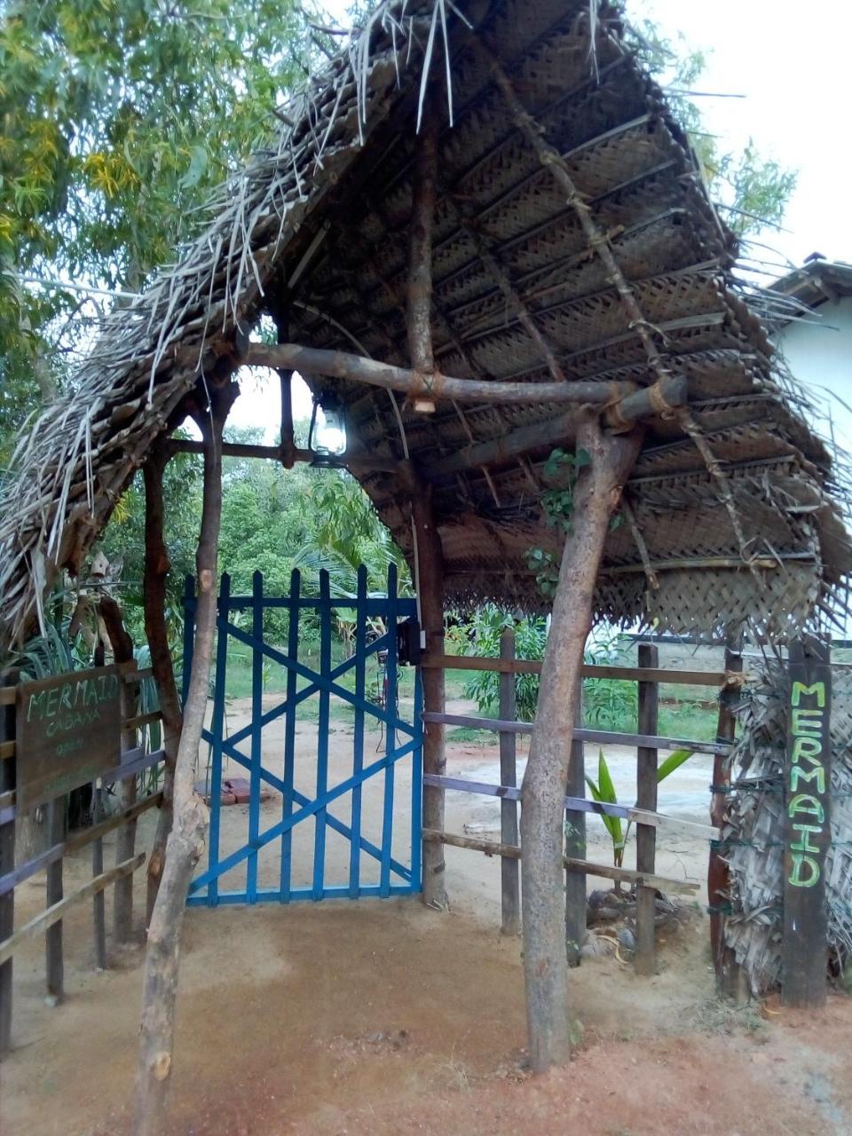 טנגלה Mermaid Cabana And Tree Houses מראה חיצוני תמונה