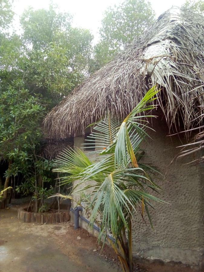טנגלה Mermaid Cabana And Tree Houses מראה חיצוני תמונה