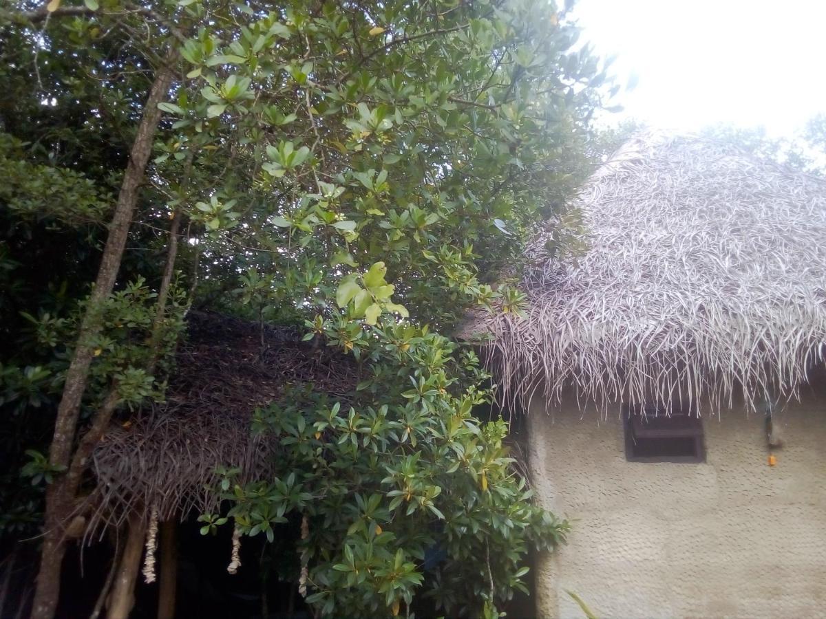 טנגלה Mermaid Cabana And Tree Houses מראה חיצוני תמונה