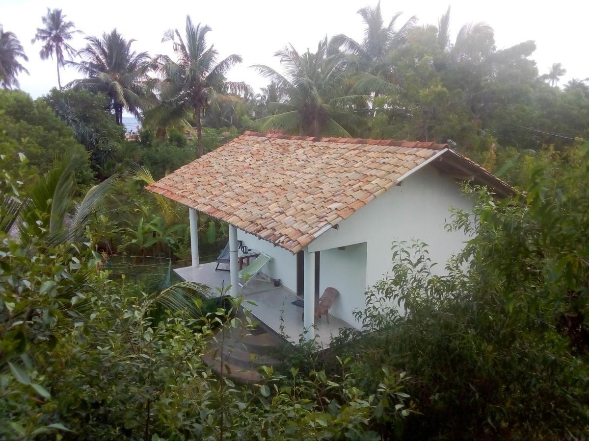 טנגלה Mermaid Cabana And Tree Houses מראה חיצוני תמונה