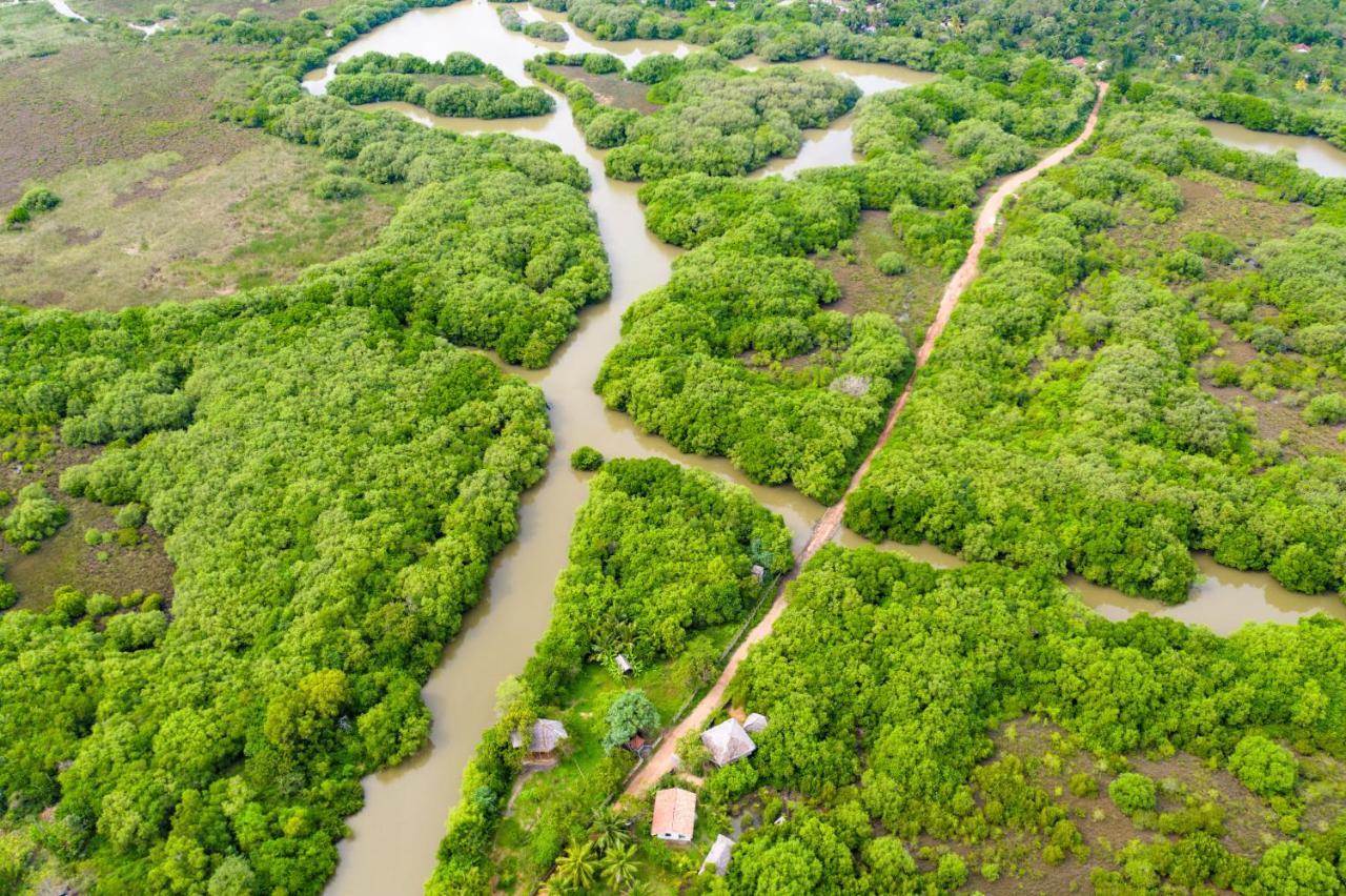 טנגלה Mermaid Cabana And Tree Houses מראה חיצוני תמונה