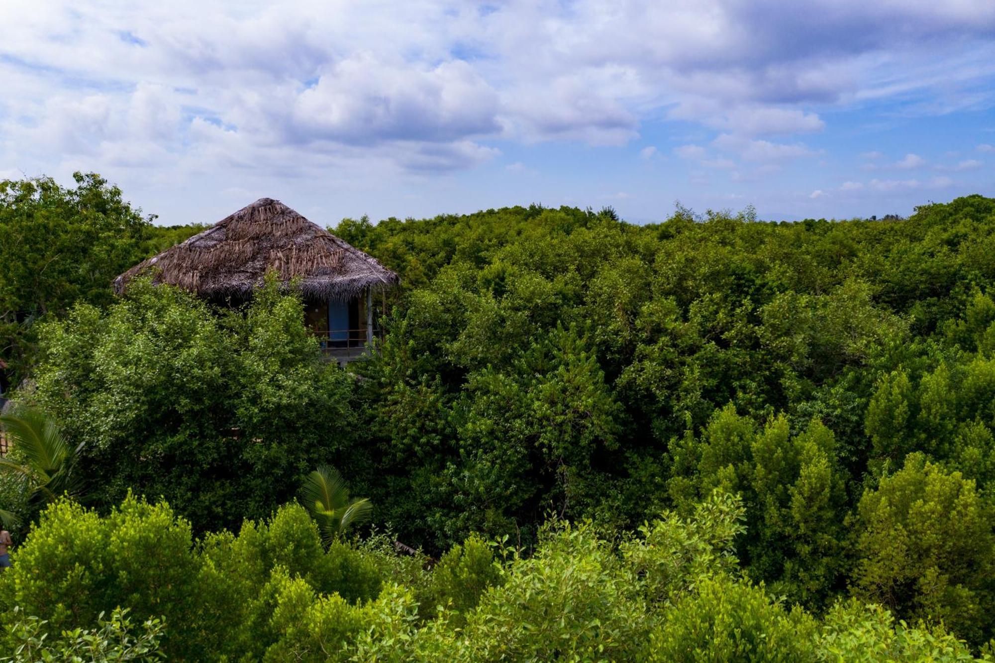 טנגלה Mermaid Cabana And Tree Houses מראה חיצוני תמונה