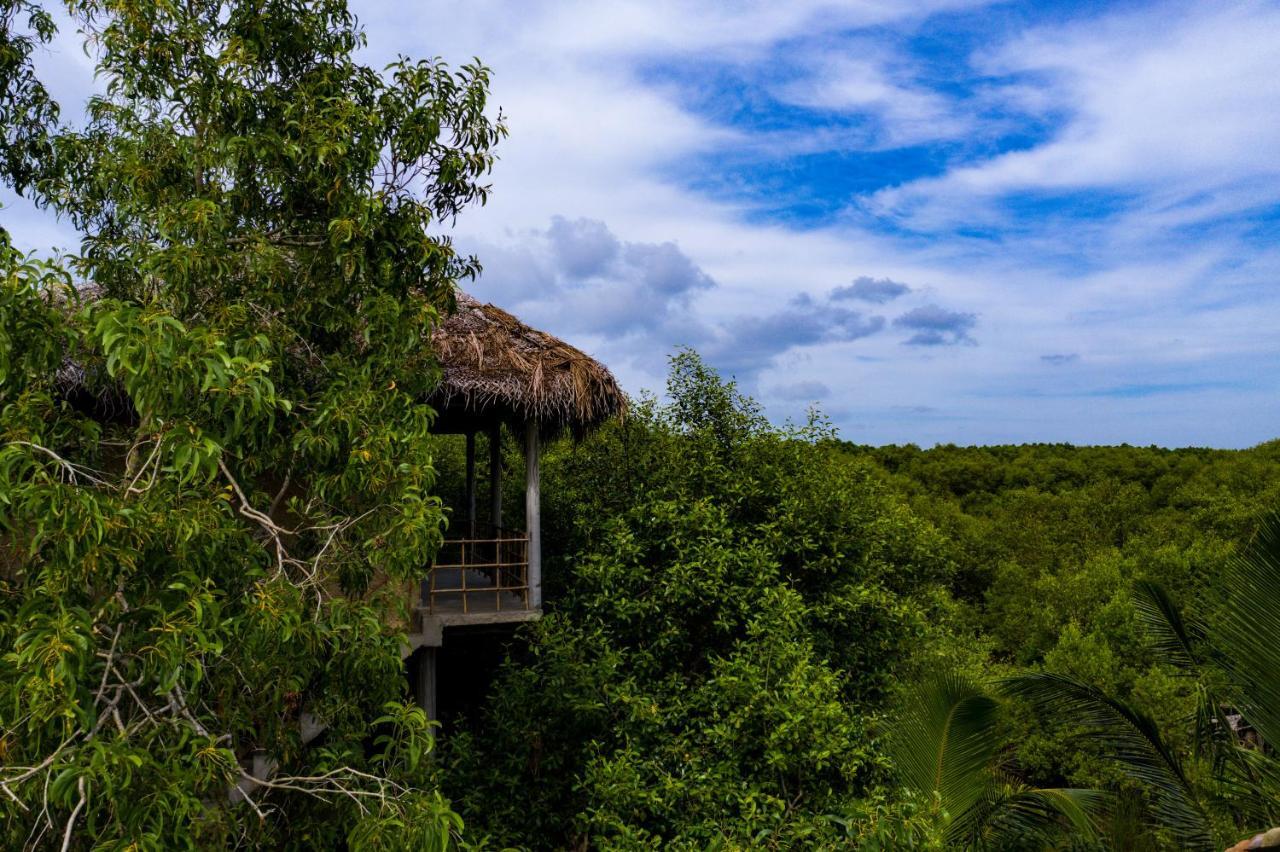 טנגלה Mermaid Cabana And Tree Houses מראה חיצוני תמונה