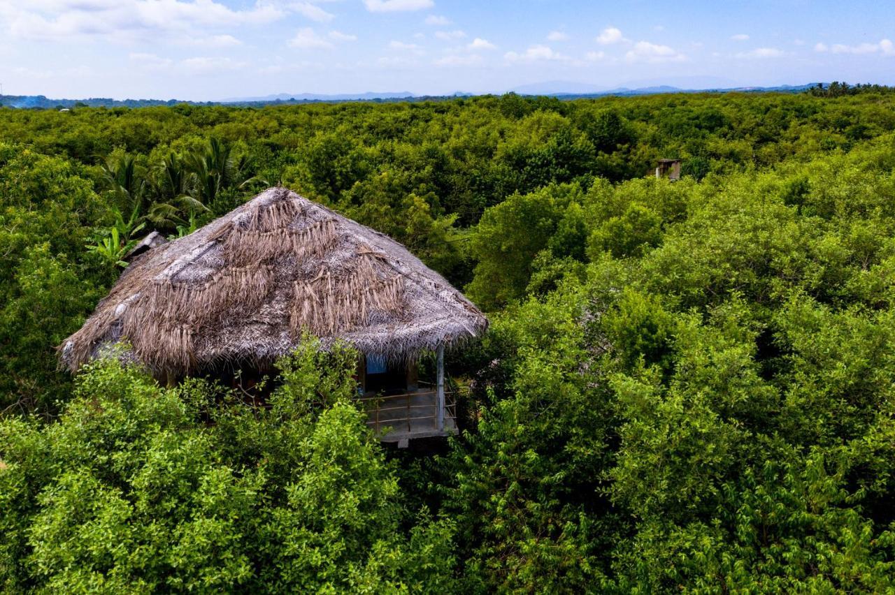 טנגלה Mermaid Cabana And Tree Houses מראה חיצוני תמונה