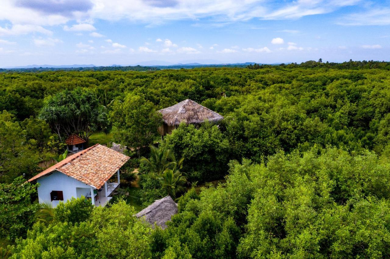 טנגלה Mermaid Cabana And Tree Houses מראה חיצוני תמונה