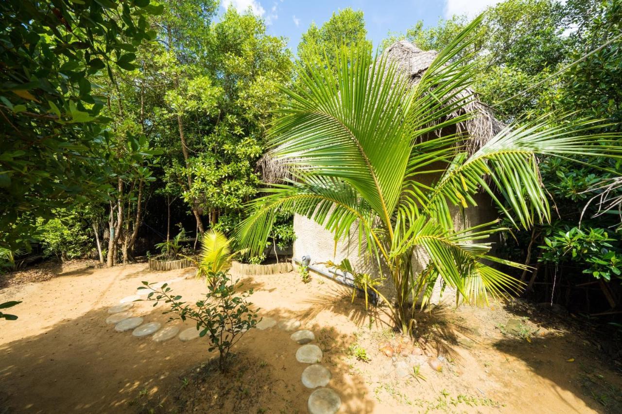 טנגלה Mermaid Cabana And Tree Houses מראה חיצוני תמונה